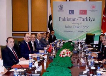 Flash floods sweep away bridge near Karakoram Highway