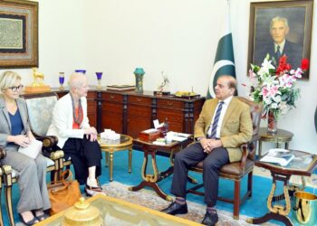 JI Emir expresses  concern over  deteriorating law and order situation in KPK