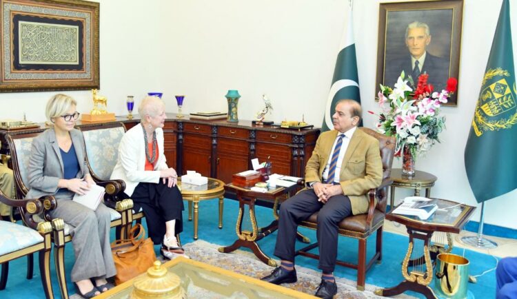 JI Emir expresses  concern over  deteriorating law and order situation in KPK