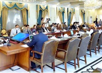 Govt shifts PSO’s losses on masses by increasing petrol prices