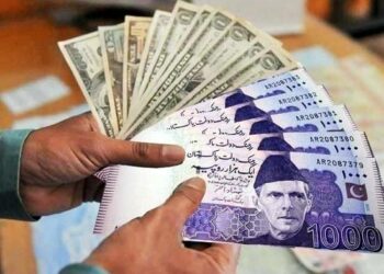 Govt slaps 100% fine on goods