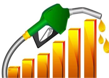Govt may  increase petrol price  by Rs20 litre