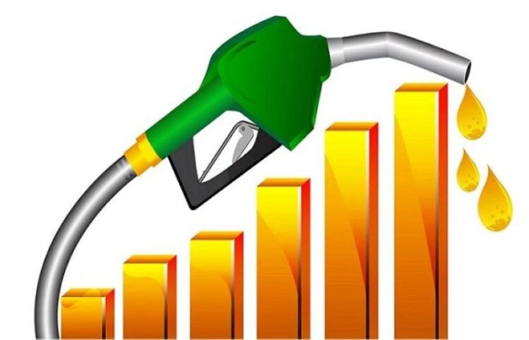 Govt may  increase petrol price  by Rs20 litre