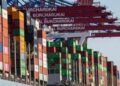 SBP agrees to release  all stuck-up containers  within 2 to 3 days: Muhammad Idrees