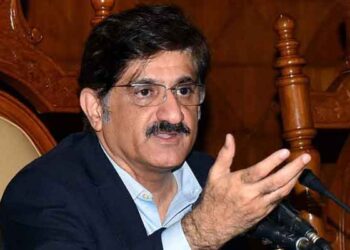 Sindh govt will not leave people helpless in difficult time: CM Murad