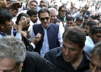 Chinese  police rescue 150 cats headed for dinner tables