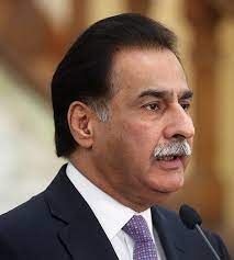 Govt will file a reference  against PTI in ECP on Aug 4: Ayaz Sadiq
