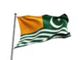APC Kashmir rejects proposed 15th amendment