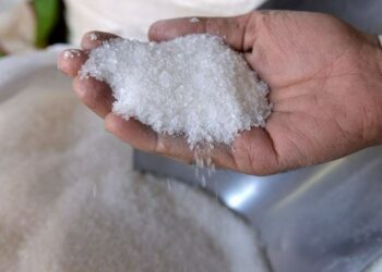 Sugar Mills Association demands immediate export of surplus sugar