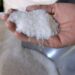 Sugar Mills Association demands immediate export of surplus sugar