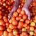 Govt allows import of tomatoes, onions excluding India