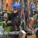 Large-scale manufacturing expands by 11.7 percent in fiscal year 2021-22