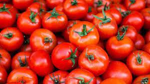 Govt decides to import onions, tomatoes from Iran, Afghanistan