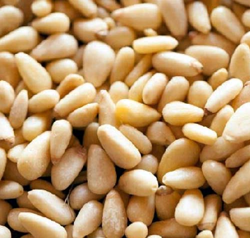 Pakistani pine nuts exports to China hit $41.48 million in first seven months of 2022
