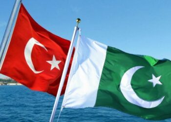 Govt fails to take private sector into account  for Pak-Turkey PTA
