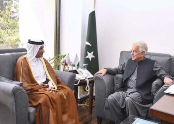 Japan FM announces  $7m emergency grant  for Pak flood victims