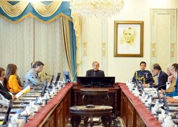 Japan FM announces  $7m emergency grant  for Pak flood victims