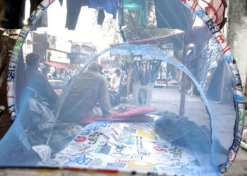 Dengue claims  another  life in ICT