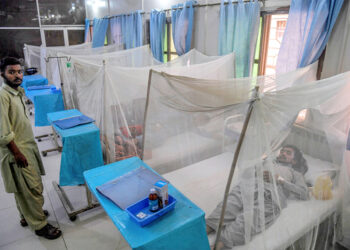 Dengue outbreak enters most intense phase