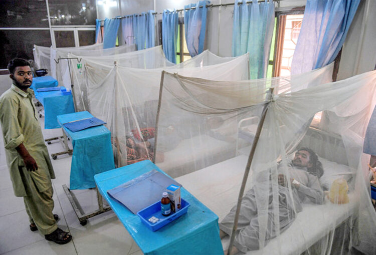 Dengue outbreak enters most intense phase