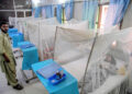 Another 114 test  positive for dengue