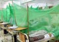 Over 60pc of dengue cases in region from peri-urban area
