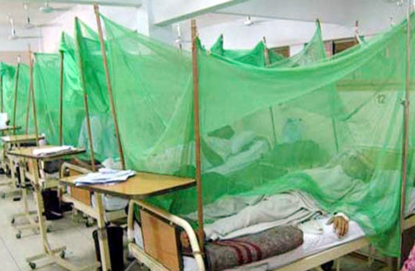 Over 60pc of dengue cases in region from peri-urban area