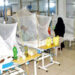 Highest number  of dengue fever cases  from Pindi in a day