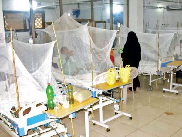 Highest number  of dengue fever cases  from Pindi in a day