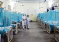 Three more people die of dengue across country