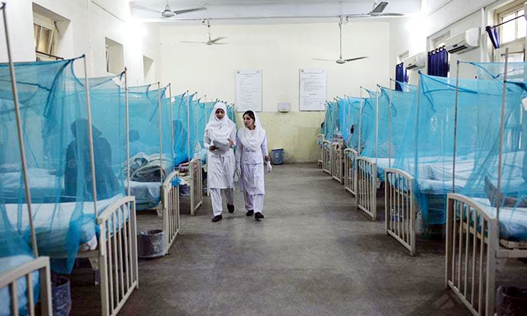 Three more people die of dengue across country