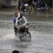 ‘ekaterra’ to provide 100 tonnes tea for 1 mln flood  affected  families