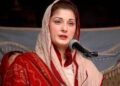 My message to those who are blessed to have their mothers around, is to value them: Maryam Nawaz