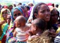 ‘ekaterra’ to provide 100 tonnes tea for 1 mln flood  affected  families