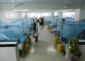 183 test positive for dengue in twin cities in a day