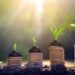 ‘Climate  finance not aid rather legitimate right of  vulnerable countries’