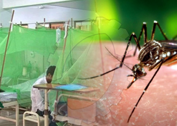 106 dengue fever cases reported  in a day