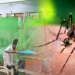 106 dengue fever cases reported  in a day