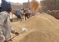 NFRCC says country is  having sufficient food stocks