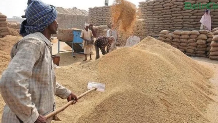 NFRCC says country is  having sufficient food stocks