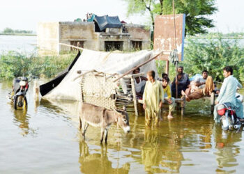 Zonergy, Shanghai  Electric contribute to  Pakistan flood relief efforts