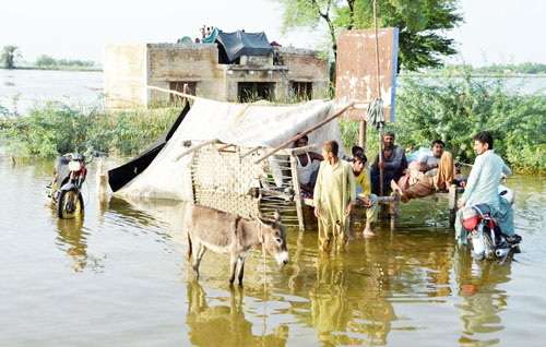 Zonergy, Shanghai  Electric contribute to  Pakistan flood relief efforts