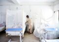Another 137 test positive for dengue, taking tally to 3,873
