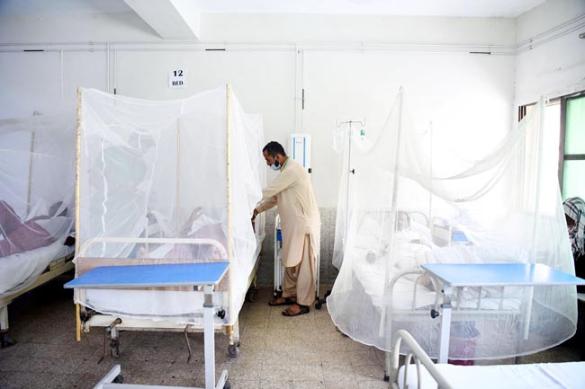 Another 137 test positive for dengue, taking tally to 3,873