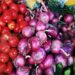 Govt withdraws sales tax on  import of onions, tomatoes