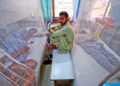 Dengue fever claims another life in ICT
