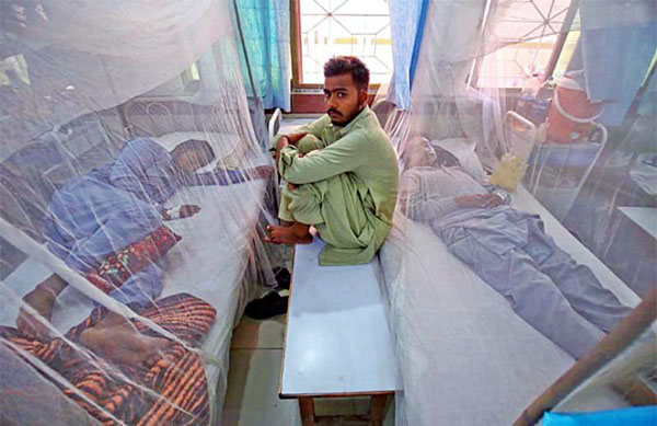 Dengue fever claims another life in ICT