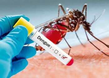 One dies of dengue,  another 194 test positive