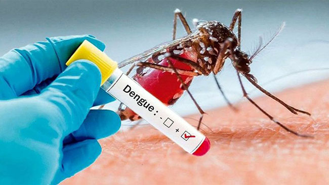 One dies of dengue,  another 194 test positive