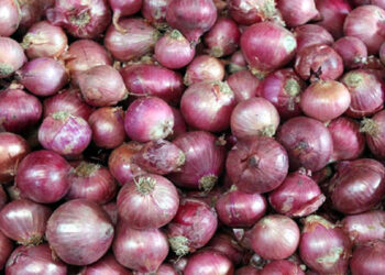 Imports of duty free onions, tomatoes start arriving from Afghanistan
